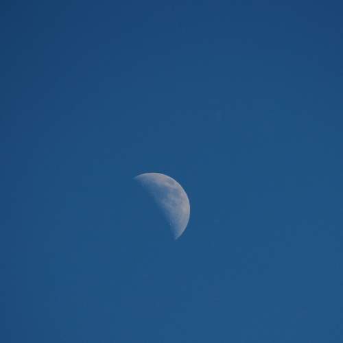 Photo #8306956