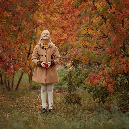 Photo #8306994