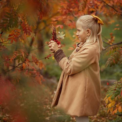 Photo #8307033