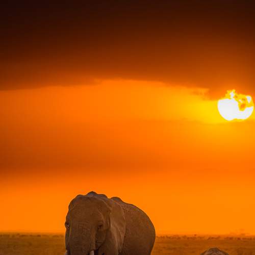 Photo #8307124