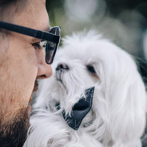 Photo #8307180