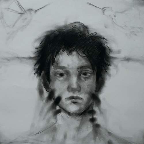 Photo #8307246