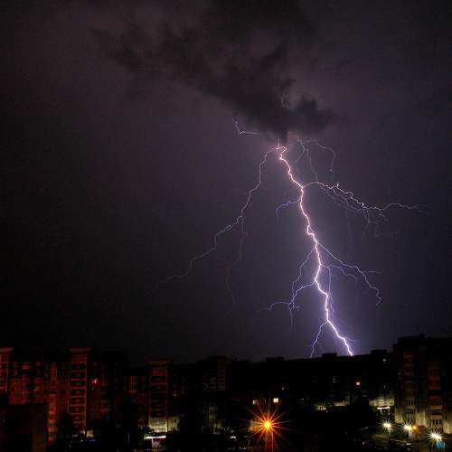 Photo #8307346