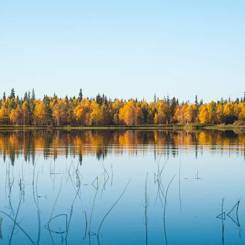 Photo #8307528