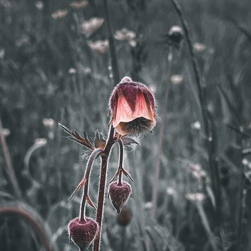 Photo #8307617