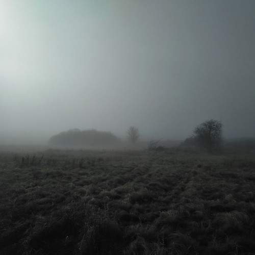 Photo #8307691