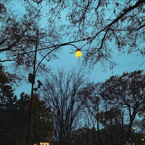 Photo #8307807