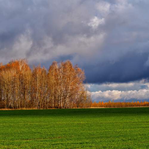 Photo #8308234