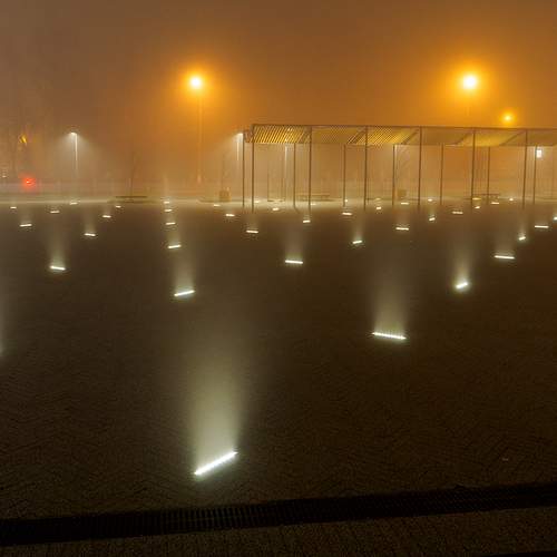 Photo #8308419