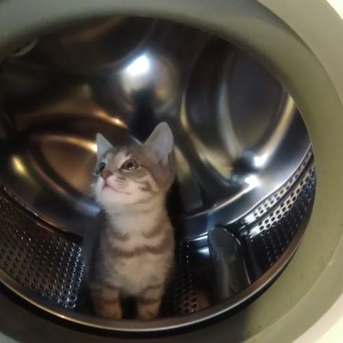 Photo #8308649