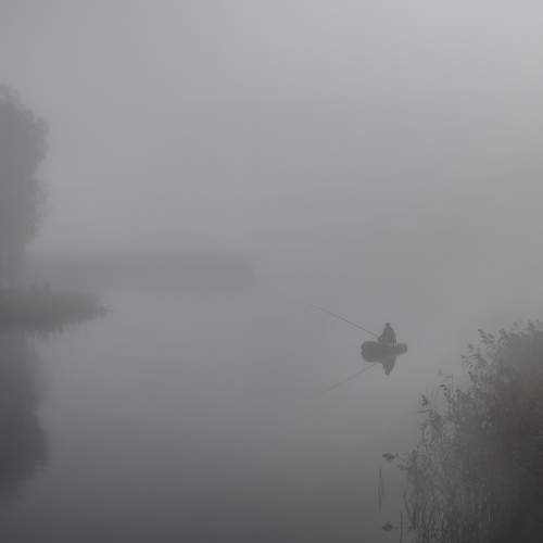 Photo #8308708
