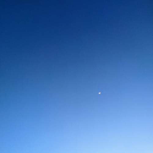 Photo #8309394