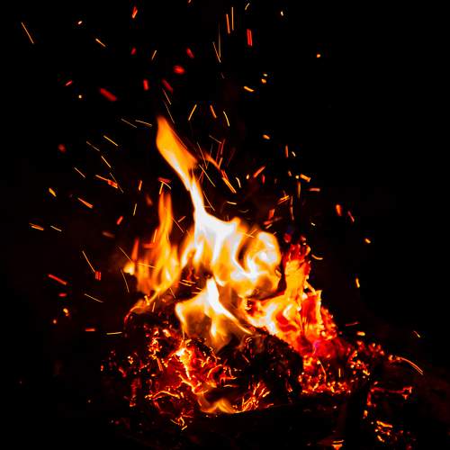 Photo #8309547
