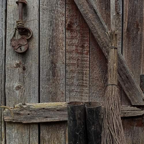 Photo #8309578