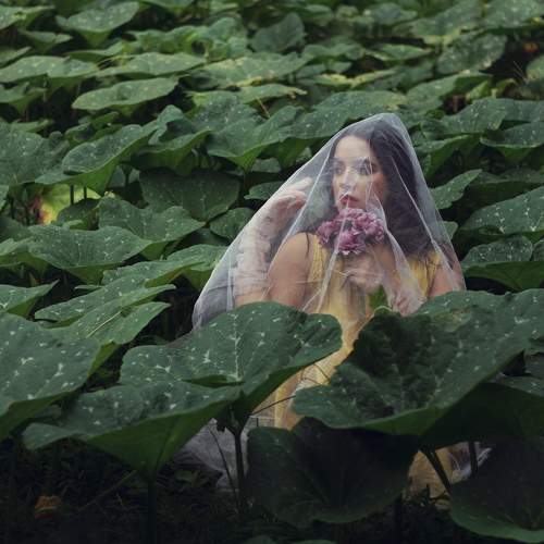 Photo #8309598