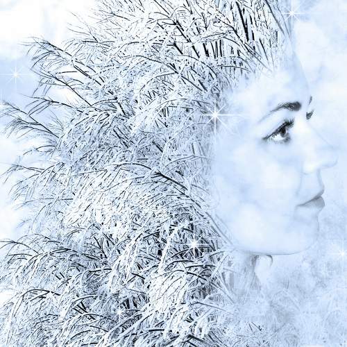 Photo #8310580