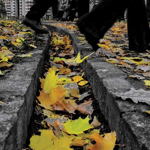 Photo #8310925
