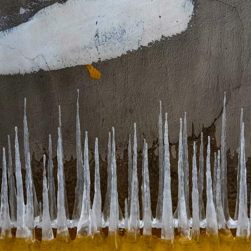 Photo #8310991