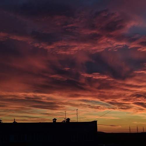 Photo #8311178