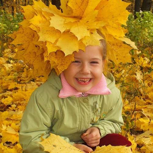Photo #8311372