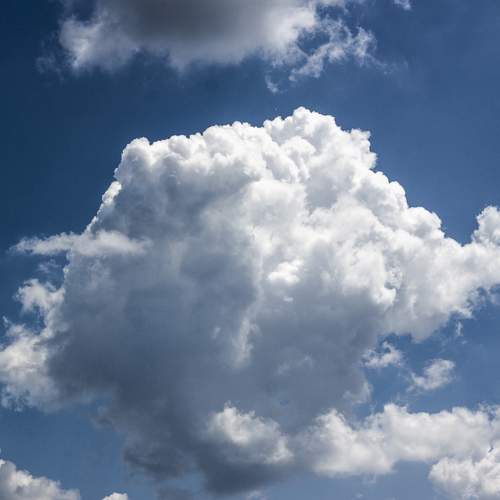 Photo #8311405