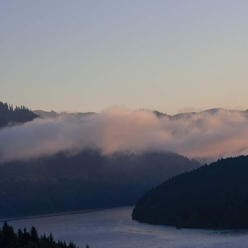 Photo #8311406