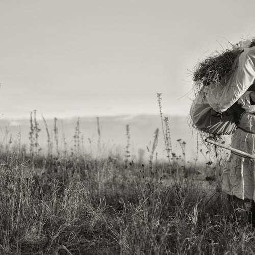 Сенокос одиночный