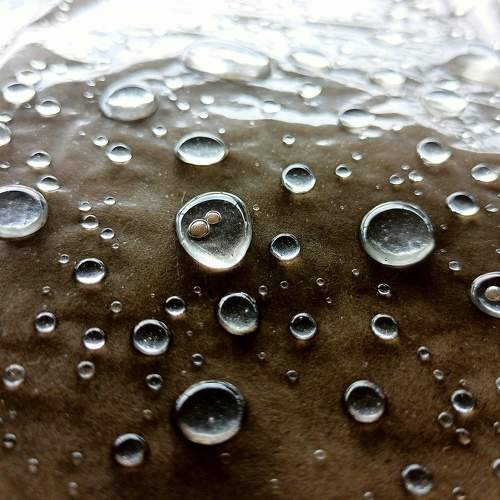 Photo #8311478