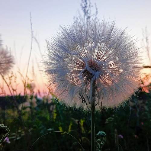 Photo #8311495