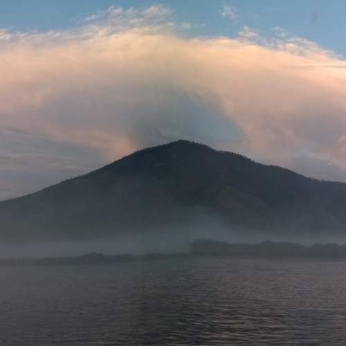 Photo #8311650