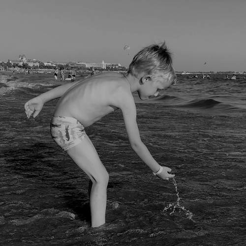 Photo #8311958