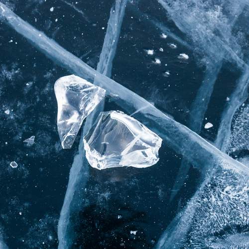 Photo #8312341
