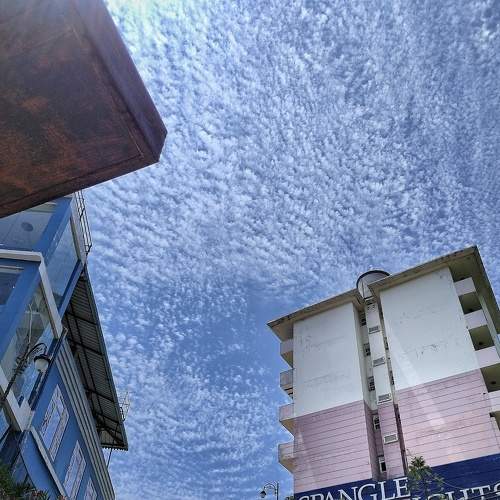 Photo #8312964