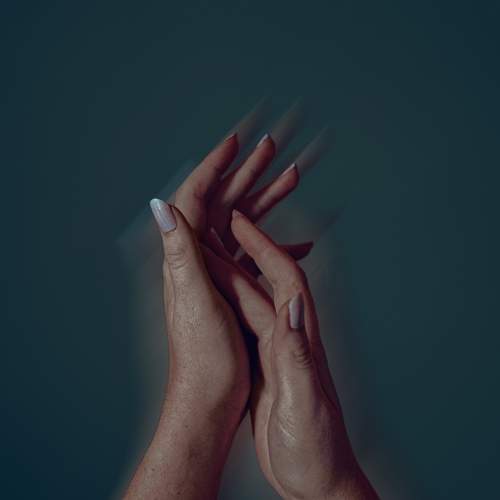 Photo #8313128