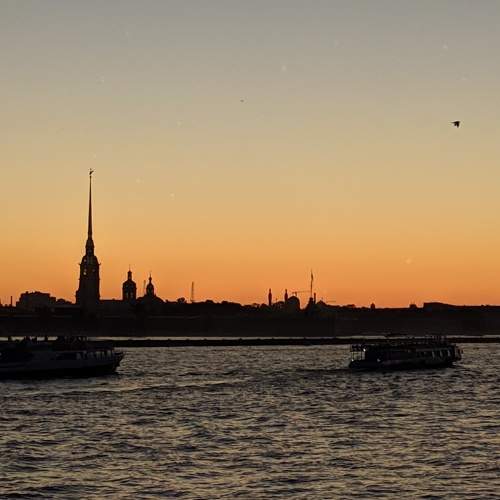 Photo #8313172