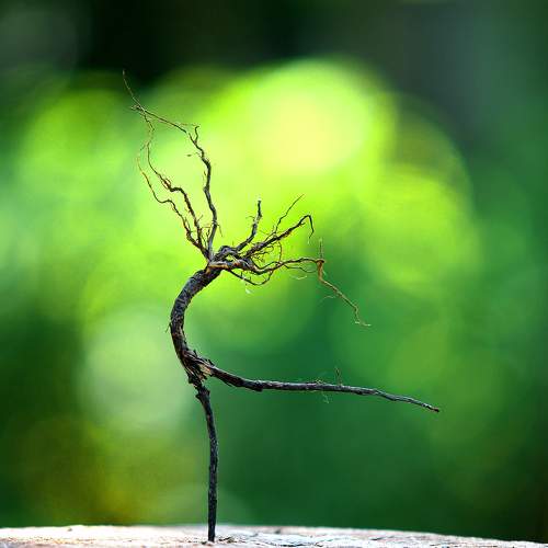 Dance of liberation