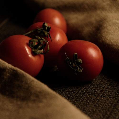 Photo #8314417