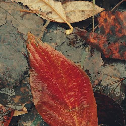 Photo #8314452