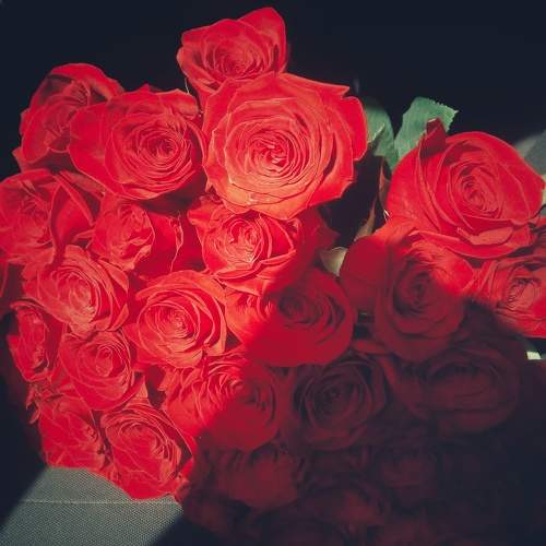 Photo #8314476