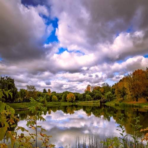 Photo #8314502
