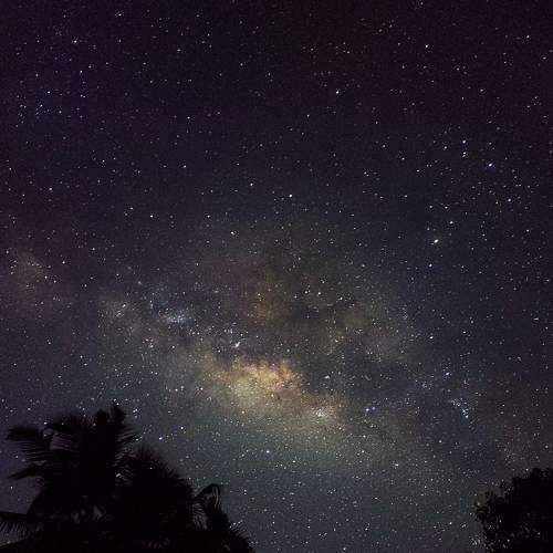 Photo #8315299