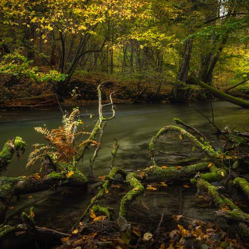 Photo #8315570