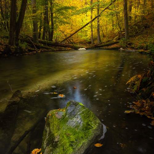 Photo #8315571