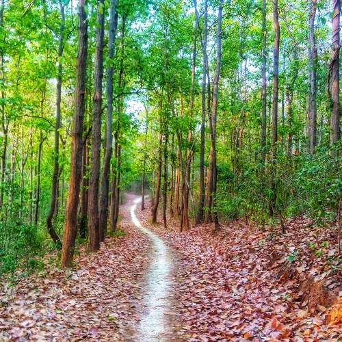 The Autumnal destination