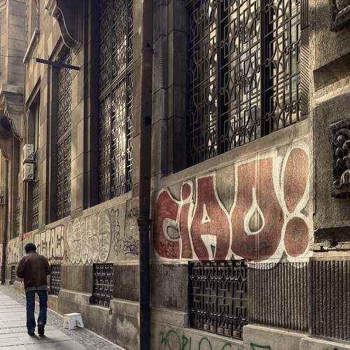 Photo #8316051