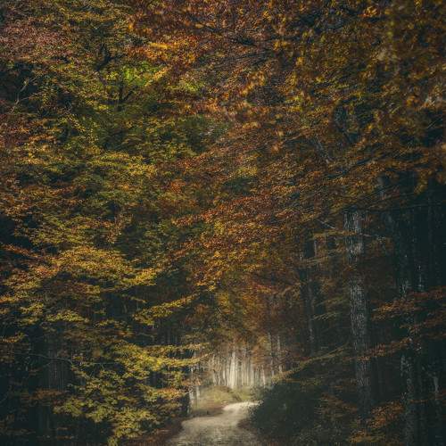 Photo #8316236