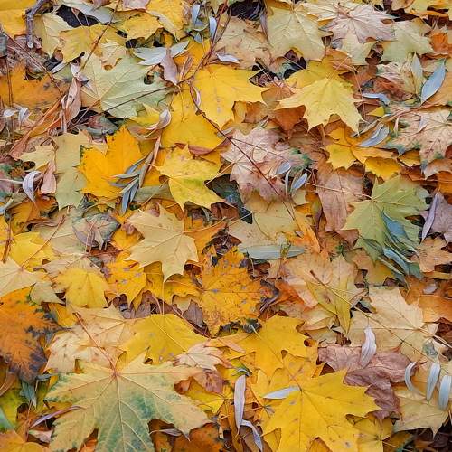 Photo #8317399