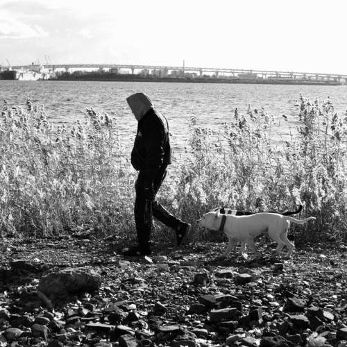 Photo #8317648