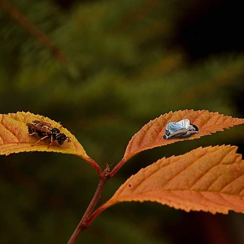 Photo #8317653