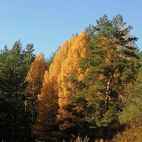 Photo #8317691